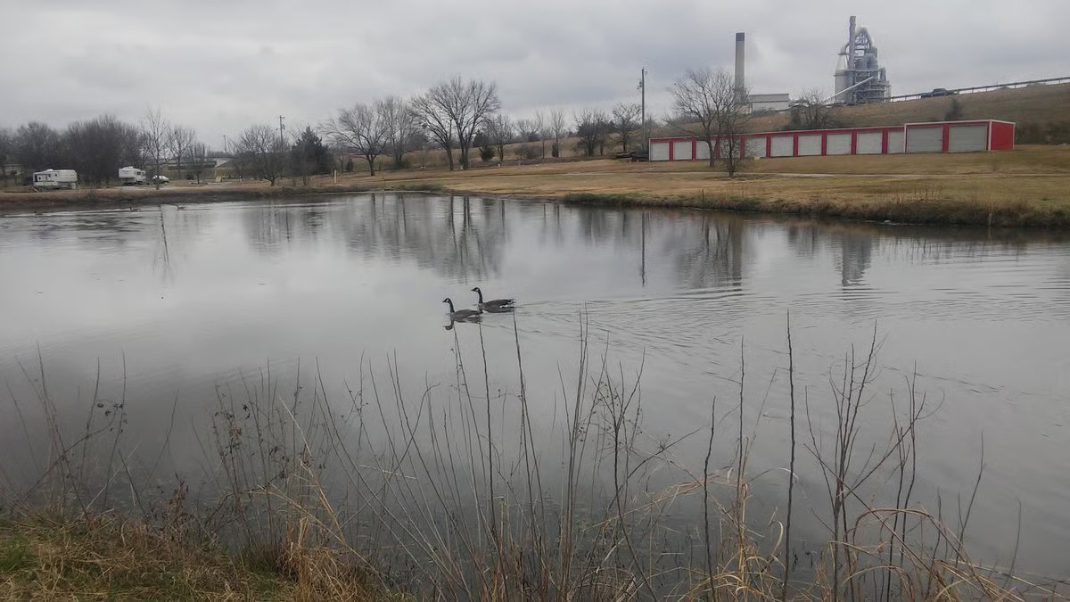 Scenic view of park